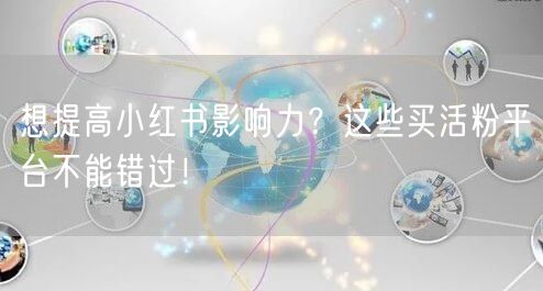 想提高小红书影响力？这些买活粉平台不能错过！