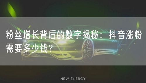 粉丝增长背后的数字揭秘:抖音涨粉需要多少钱?