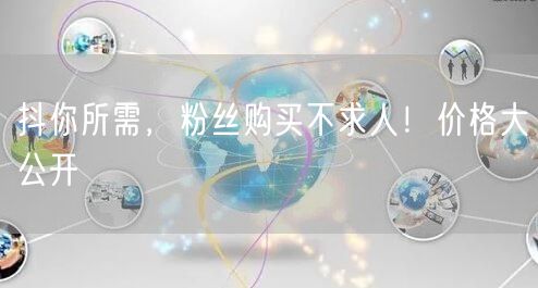 抖你所需，粉丝购买不求人！价格大公开
