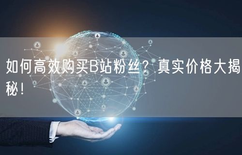 如何高效购买B站粉丝？真实价格大揭秘！