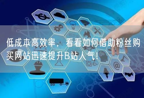 低成本高效率，看看如何借助粉丝购买网站迅速提升B站人气！
