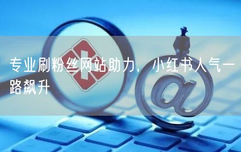 专业刷粉丝网站助力，小红书人气一路飙升