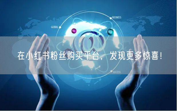 在小红书粉丝购买平台，发现更多惊喜！
