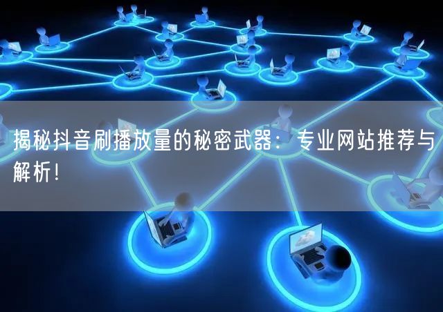 揭秘抖音刷播放量的秘密武器：专业网站推荐与解析！