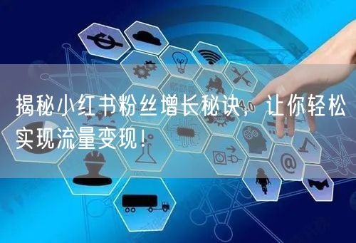 揭秘小红书粉丝增长秘诀，让你轻松实现流量变现！