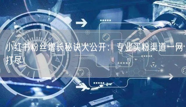 小红书粉丝增长秘诀大公开：专业买粉渠道一网打尽！