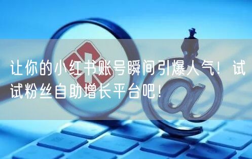 让你的小红书账号瞬间引爆人气！试试粉丝自助增长平台吧！