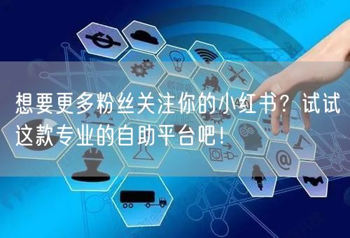 想要更多粉丝关注你的小红书？试试这款专业的自助平台吧！