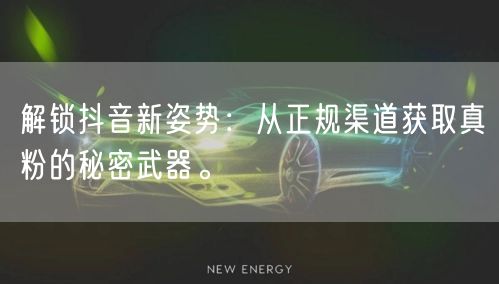 解锁抖音新姿势：从正规渠道获取真粉的秘密武器。