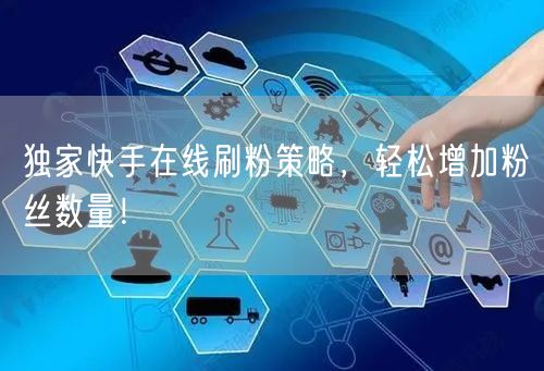 独家快手在线刷粉策略，轻松增加粉丝数量！