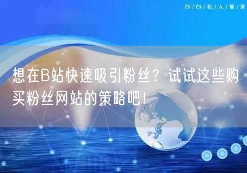 想在B站快速吸引粉丝？试试这些购买粉丝网站的策略吧！
