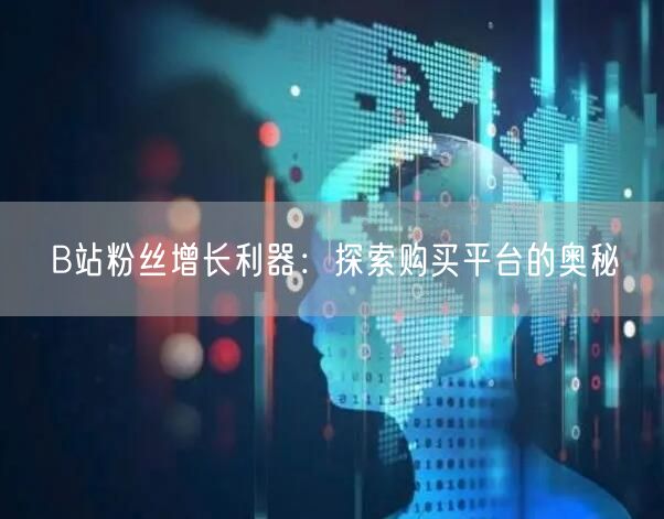 B站粉丝增长利器：探索购买平台的奥秘