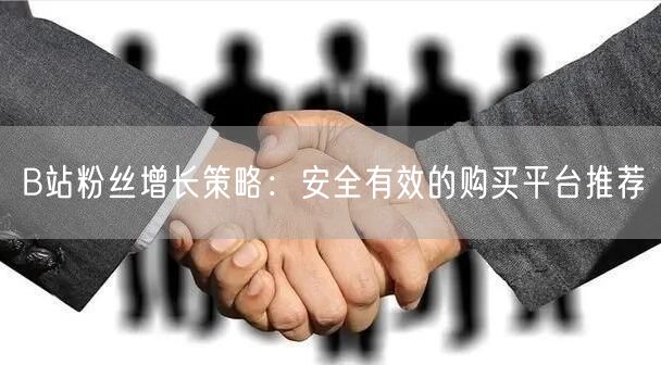 B站粉丝增长策略：安全有效的购买平台推荐