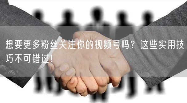 想要更多粉丝关注你的视频号吗？这些实用技巧不可错过！
