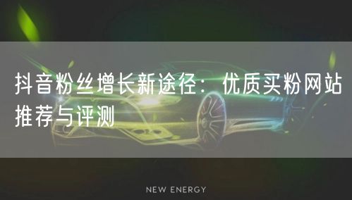 抖音粉丝增长新途径：优质买粉网站推荐与评测