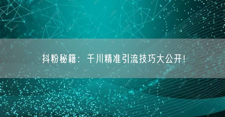 抖粉秘籍：千川精准引流技巧大公开！