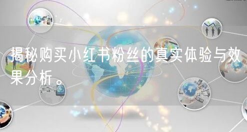 揭秘购买小红书粉丝的真实体验与效果分析。
