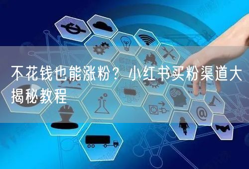 不花钱也能涨粉？小红书买粉渠道大揭秘教程