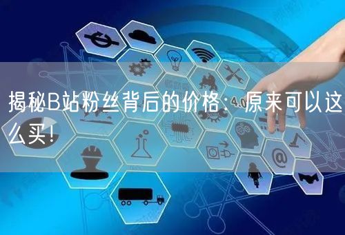揭秘B站粉丝背后的价格：原来可以这么买！