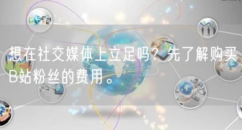 想在社交媒体上立足吗？先了解购买B站粉丝的费用。
