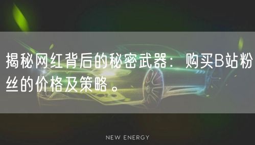 揭秘网红背后的秘密武器：购买B站粉丝的价格及策略。