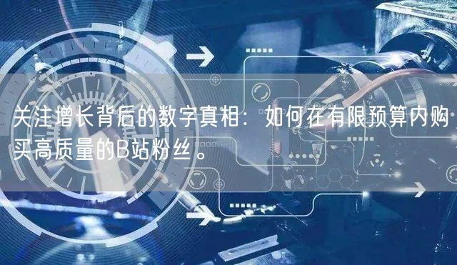 关注增长背后的数字真相：如何在有限预算内购买高质量的B站粉丝。