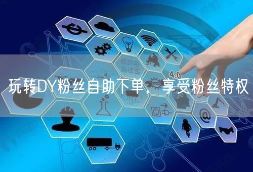 玩转DY粉丝自助下单，享受粉丝特权