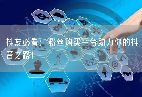 抖友必看：粉丝购买平台助力你的抖音之路！