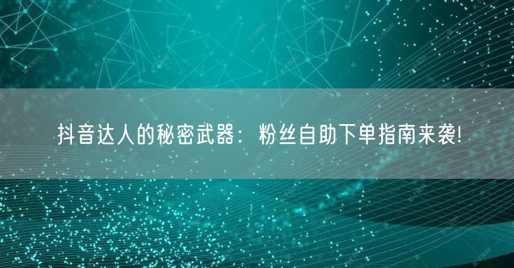 抖音达人的秘密武器：粉丝自助下单指南来袭!