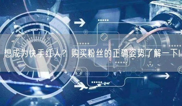 想成为快手红人?购买粉丝的正确姿势了解一下!